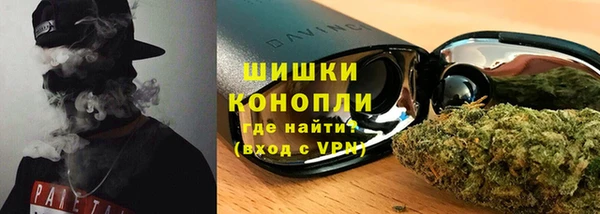 прущие крисы Новозыбков