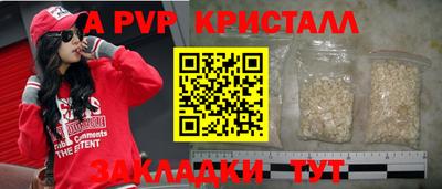 шишки Кимры