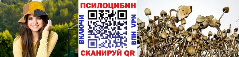 Галлюциногенные грибы прущие грибы  как найти закладки  Карталы 