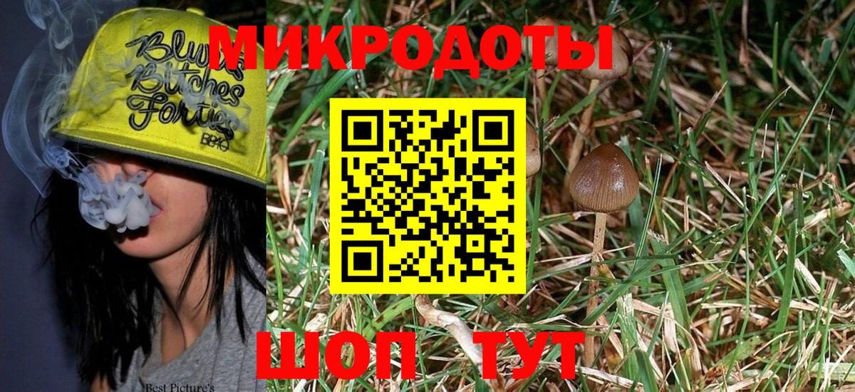 Псилоцибиновые грибы MAGIC MUSHROOMS Карталы
