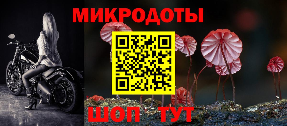 Псилоцибиновые грибы MAGIC MUSHROOMS  Вход с VPN  Карталы 