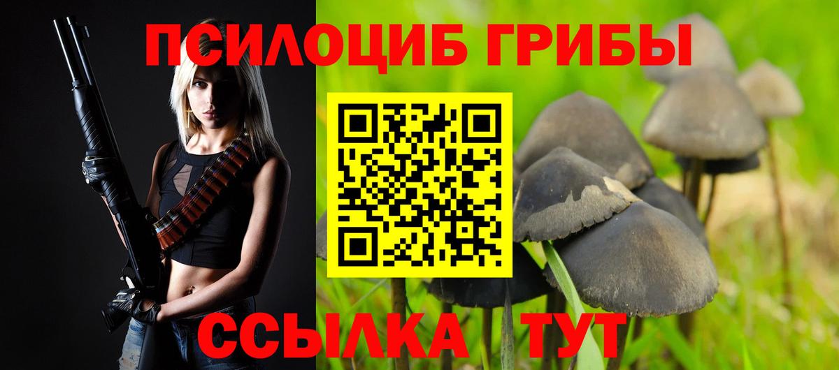 Псилоцибиновые грибы Cubensis  Карталы 