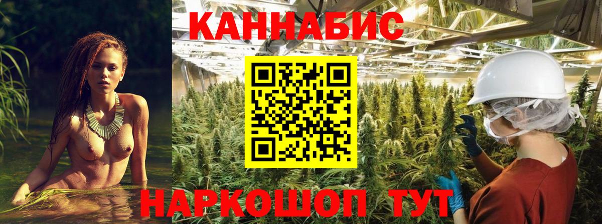 Канабис SATIVA & INDICA  Карталы  Бошки марихуана индика  Бошки Шишки индика 